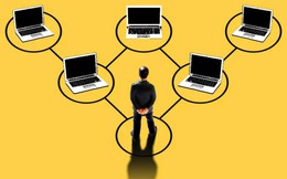 AI đang “nuốt chửng” ngành tư vấn: McKinsey, Deloitte buộc phải lột xác