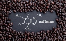 50 tấn caffeine và cú sốc từ một chất ‘vô hại’: Vì sao thứ hàng triệu người uống mỗi sáng lại xuất hiện trong đường dây ma túy?