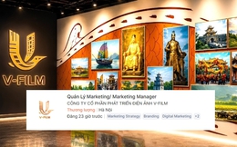 Tin tuyển dụng của hãng phim Vingroup khiến rất nhiều người lao động ấm lòng