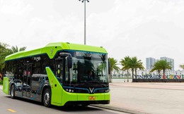Dùng VinBus 'mồi' khách cho bất động sản: Chiến lược tự túc hạ tầng giao thông của Vingroup tại Hạ Long Xanh