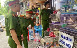 Bán chim phóng sinh, 3 hộ kinh doanh bị tịch thu hàng