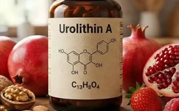 Urolithin A: Hợp chất chống lão hóa có thử nghiệm lâm sàng trên người, tăng 12% sức mạnh cơ bắp, cải thiện sức bền hiếu khí ở người trung niên