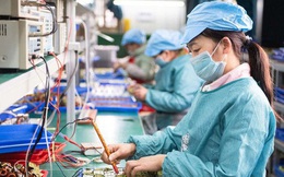 Bức tranh doanh nghiệp 5 tháng qua: Thành lập mới tăng 42%, nhưng số hoàn tất giải thể cũng tăng 99%