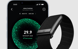 Drama nóng nhất giới biohack: Seller tố khách kích hoạt WHOOP Life xong quay xe, trả máy “no box” vì lý do không được tư vấn phí Membership hàng năm?
