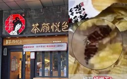 Con gián trong gói khoai tây 9.000 đồng và sai lầm khiến thương hiệu trà sữa hot hit xứ Trung tự thổi bùng khủng hoảng