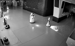 Robot tí hon "dụ" 12 robot lớn bỏ trốn khỏi phòng trưng bày lúc nửa đêm: Câu chuyện viral khiến cả Trung Quốc giật mình