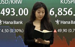 Hàng triệu nhà đầu tư chứng khoán Hàn Quốc lao đao khi thị trường lao dốc