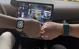 WHOOP không có màn hình vẫn khiến Apple Watch phải dè chừng: Hai triết lý kinh doanh đối lập đang định hình tương lai thiết bị đeo