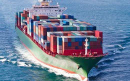 Xuất khẩu 1 triệu container mỗi năm, doanh nghiệp thủy sản đau đầu về chi phí logistics: Cước vận chuyển sang Mỹ có lúc tăng vọt gần 10.000 USD/container