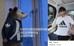 Từ lỗi dịch AI "quê mùa" thành cú nổ doanh số: Chiêu xử lý khủng hoảng đáng vào giáo án dạy truyền thông của adidas Trung Quốc