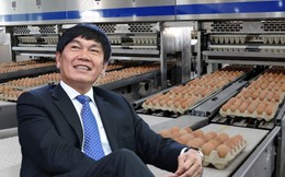 Nửa đầu năm, tỷ phú Trần Đình Long bán ra hơn 200.000 con heo và 170 triệu quả trứng gà
