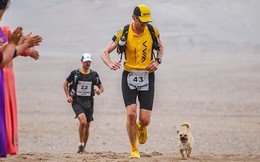 Chú chó hoang chạy 125 km xuyên sa mạc theo chân VĐV siêu marathon rồi đột ngột mất tích: Cái kết sau 9 năm gây bất ngờ