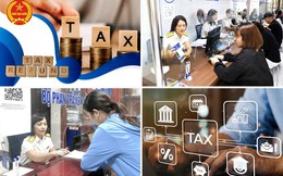 245 hồ sơ hoàn thuế VAT bị kéo dài: Có dấu hiệu rủi ro cao, cần xác minh thông tin