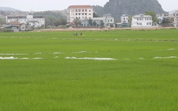 Khu đô thị của Vicem Hoàng Mai ở Nghệ An được yêu cầu đẩy nhanh tiến độ Thanh tra