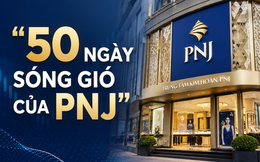 50 ngày chưa từng có của PNJ: Hơn 16.000 tỷ đồng vốn hóa bốc hơi, 7.000 tỷ đồng hàng bị trả lại và cái giá quá đắt của cuộc khủng hoảng niềm tin