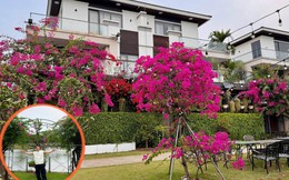 Biệt thự triệu đô của Cao Thái Sơn, thứ quý giá nhất không nằm trong nhà