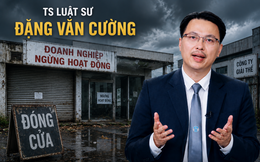 Đề xuất không truy thu thuế với doanh nghiệp ngừng hoạt động: Luật sư nói cần xác định đúng đối tượng