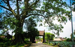 Những tour du lịch 0 đồng quanh Hà Nội dịp 2/9