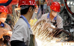 155.300 doanh nghiệp rút lui khỏi thị trường trong 7 tháng đầu năm 2026