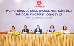 Vingroup trả thù lao cho dàn lãnh đạo cấp cao thế nào trong nửa đầu năm 2026?