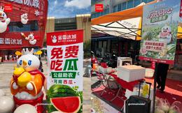 Chiến lược giải cứu nông sản giúp nông dân của Mixue