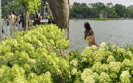 Dịp nghỉ lễ 2/9, Hồ Gươm đẹp như một bức tranh mùa thu: Hoa nở rực rỡ, góc nào cũng đông người check-in