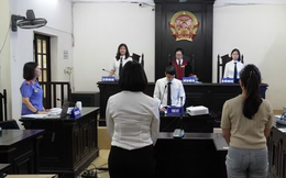 Hà Nội: Hai người phụ nữ sống sát vách lĩnh án vì cãi nhau liên miên
