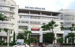 Nữ cán bộ Đại học Đông Đô 'lừa' sinh viên nộp 1,9 tỷ đồng mở lớp học nhưng không được cấp bằng