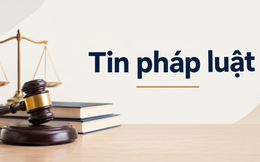 Cục Cảnh sát hình sự tìm người phụ nữ chứng kiến vụ án "Giết người" xảy ra từ 4 năm trước ở Quảng Ngãi