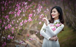Trình Chính phủ phương án nghỉ Tết Nguyên đán 2027 kéo dài 7 ngày
