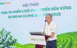Bầu Đức trồng 20.000 ha cà phê trên cao nguyên cao 1.350 m, quanh năm mát mẻ, chuyên gia dự báo thu hoạch “khủng” 7,2 kg quả/cây