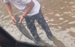 Cảnh tượng đang viral khắp mạng xã hội trong ngày Hà Nội mưa lớn, úng ngập diện rộng