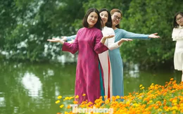 Thời tiết miền Bắc những ngày tới