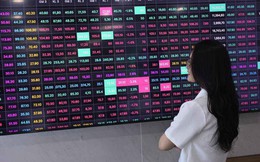 Chứng khoán NSI ‘phím hàng’ đón sóng FTSE Russell nâng hạng thị trường
