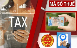 Cơ quan thuế thông báo quan trọng: Người vừa được cấp mã số thuế cần kiểm tra ngay 5 thông tin