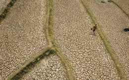 Châu Á gấp rút ứng phó 'siêu' El Nino