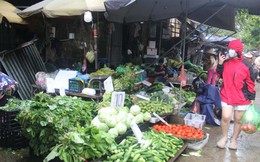 Giá rau xanh ở Hà Nội tăng vọt sau mưa lớn kéo dài