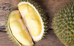Sầu riêng đắt nhất thế giới 1,2 tỷ đồng/quả có gì đặc biệt?