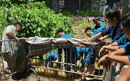 Chủ tịch Hà Nội truy trách nhiệm sau vụ nam sinh viên ngã xuống cống tử vong