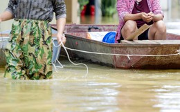 Biển nước bủa vây ngoại thành Hà Nội, hàng hóa tiền tỷ chìm trong nước: “Năm nay chẳng nghĩ gì đến Tết”