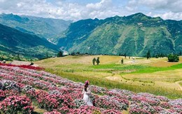 Phát hiện địa danh Việt Nam lọt Top 10 đẹp nhất thế giới, có thảo nguyên rộng 90 ha như "Thụy Sĩ thu nhỏ"