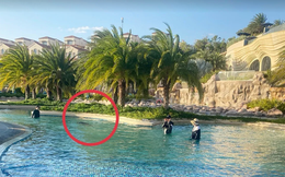 Vụ bé 11 tuổi người Nhật tử vong ở hồ bơi tại resort: Khởi tố bị can Nguyễn Quốc Quân SN 1961