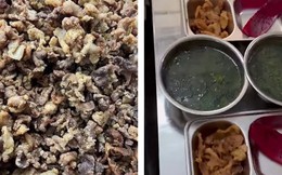 Phụ huynh kiểm tra đột xuất thấy cơm bán trú 'toàn tóp mỡ': Hiệu trưởng nói gì?