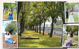 Dù trời âm u, nhiều người vẫn dậy sớm trang điểm, diện áo dài đến ‘con đường mùa thu’ ở TP.HCM chụp ảnh