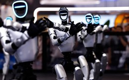 Các hạn chế của Mỹ có thể chia rẽ thế giới robot thế nào?