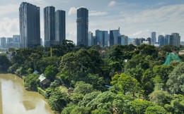 Nơi giá đất cả tỷ đồng mỗi m2, phường Sài Gòn có "khu rừng" được bảo tồn suốt hơn trăm năm, lọt top 8 thế giới, là mái nhà của nhiều động vật trong sách đỏ