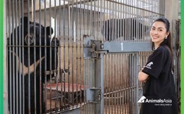 Tăng Thanh Hà nhận bảo trợ trọn đời gấu ngựa tên An từ khi còn bú bình