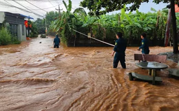 Đồng Nai 'lệnh' dỡ gấp cầu tạm sông Buông vì gây ngập