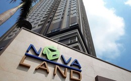 Novaland làm sao thế?