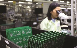Thặng dư thương mại Việt - Mỹ vượt 100 tỷ USD, có nên "hy sinh" xuất khẩu truyền thống?